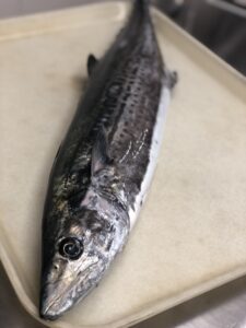 春香る、鰆の季節がやってきました✨
