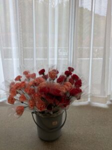 👩カーネーションをプレゼント💐