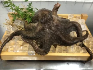 🐙ぷりっぷり！淡路・由良の真ダコをご紹介✨