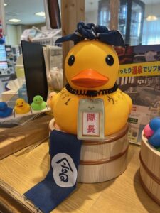 混雑状況をアヒルが教えるよ～