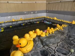 アヒル風呂8月もやりますよ！！