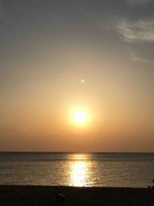 🎍 新年あけましておめでとうございます！