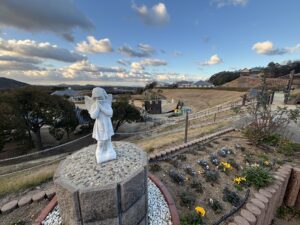 臨時休園日・最終日のご案内とメンテナンス状況について✨